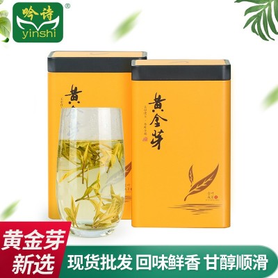 黄金芽茶叶正宗2023年明前特级250g新茶特产高氨基酸绿茶罐装