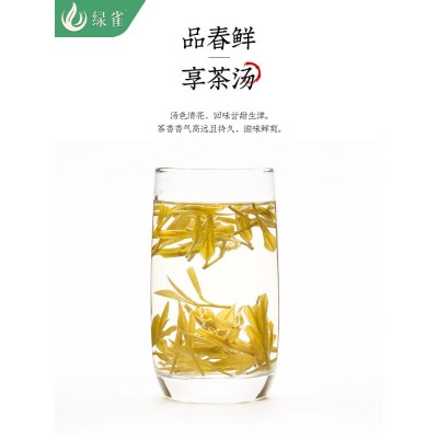 黄金芽茶叶正宗2023年明前特级250g新茶特产高氨基酸绿茶罐装图5