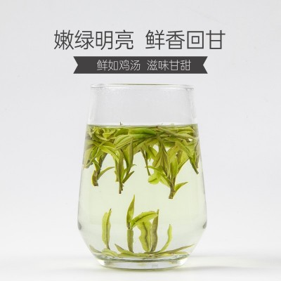 黄浦江源安吉白茶2023年新茶明前精品绿茶250g礼盒装高山特级春茶图4