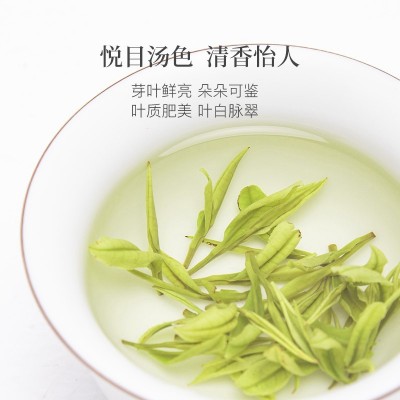 2023年新茶白茶 雨前珍稀白茶 250克安吉茶农直销春茶绿茶散装图2
