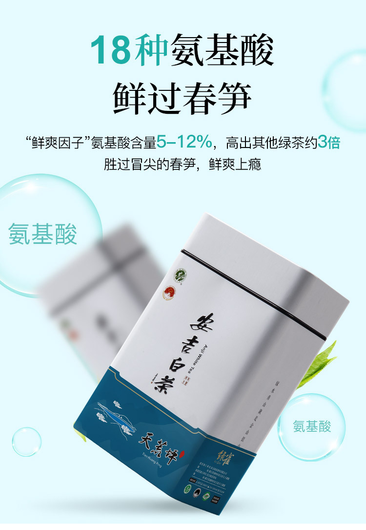 安吉白茶2021年特级高山新春茶500g高氨基酸珍稀炒青罐装