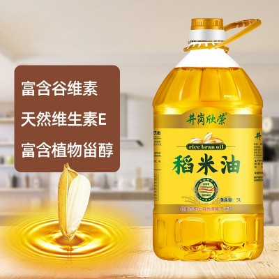 厂家直销米糠油 谷维素食用稻米油5L 日期新鲜现货批发图2