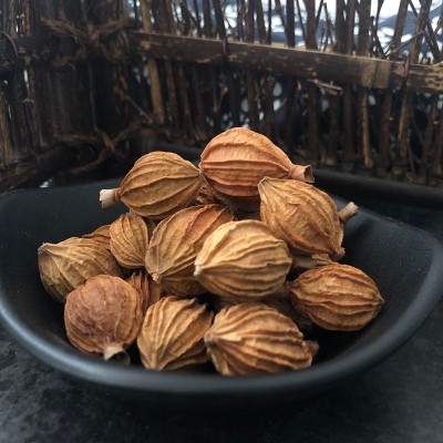 厂家批发家用香砂火锅底料煲汤配料炖肉卤菜增香调味料中药材香砂图4