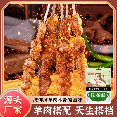 源头厂家批发孜然粉30g新疆孜然撒料家用商用烧烤羊肉烤鱼调味料图3