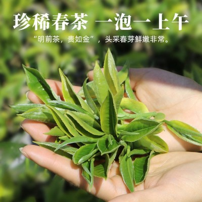 2023年新茶上市批发云南绿茶春尖毛尖毛峰银丝滇绿茶500g盒装现货