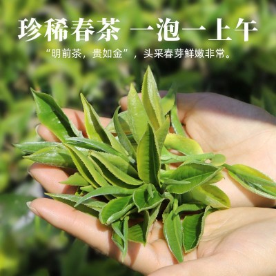 2023年新茶上市批发云南绿茶春尖毛尖毛峰银丝滇绿茶500g盒装现货图3