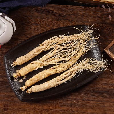 吉林长白山人参干货生晒人参泡酒料整枝白参批发量大价优规格齐全图4
