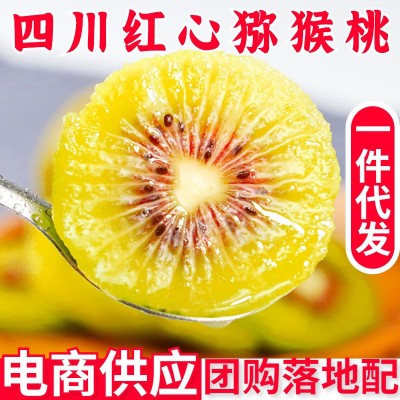 红心猕猴桃一件代发四川蒲江奇异爆甜弥猴桃当季新鲜水果整箱包邮