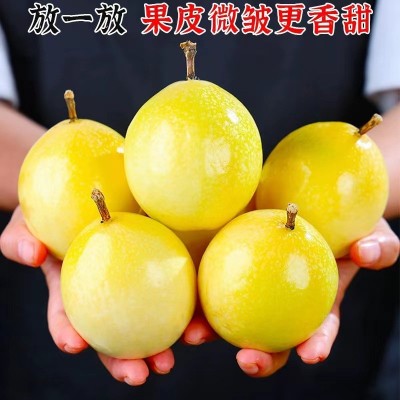 正宗广西钦蜜9号百香果新鲜当季现摘水果黄金百香果一件代发图4