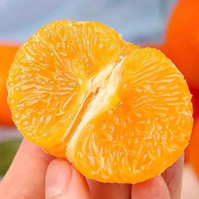 广西武鸣沃柑精选大果新鲜沃柑现摘8斤水果礼盒装产地直发ab混图5