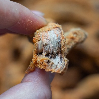 猪肉片批发厂家散装手撕猪肉脯食品展会景区特产风干牛肉干零食图4