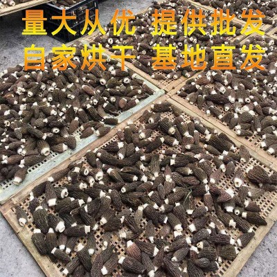 新货羊肚菌6公分以上 250g袋装羊肚菌货源场地直供一手货源厂家图4