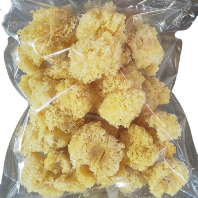 古田农家椴木小银耳 新耳采摘严选白木耳糯耳小银耳500g干货 厂家图5