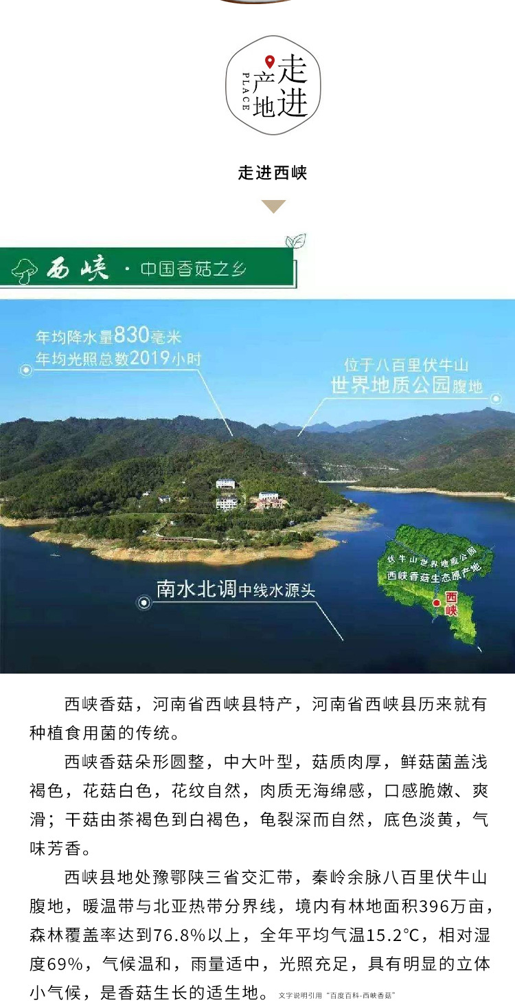 好评_05