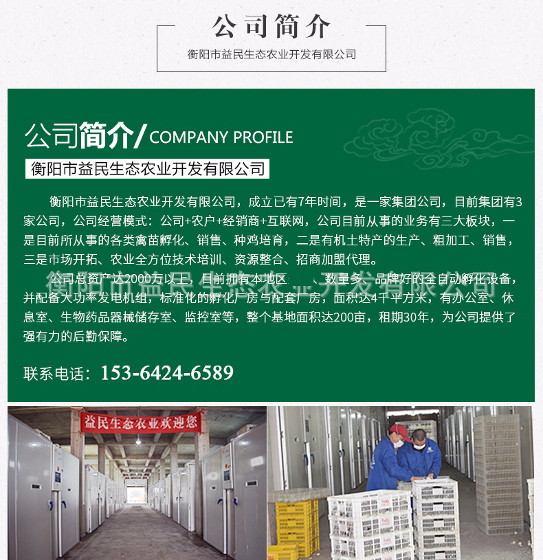 详情里面的简介2