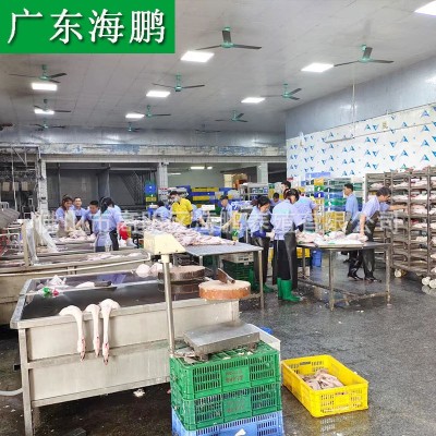 广东清远黑棕鹅正宗烧腊烧鹅原材料新鲜鹅肉棚鹅光鹅做醉鹅乌鬃鹅图5