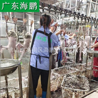 广东清远黑棕鹅正宗烧腊烧鹅原材料新鲜鹅肉棚鹅光鹅做醉鹅乌鬃鹅图2