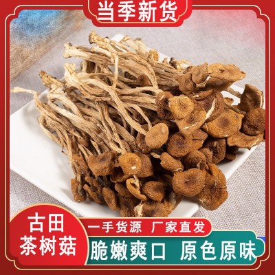 专拍茶树菇干货福建古田特产菇农产品特级煲汤炖香菇菌菇厂家直批