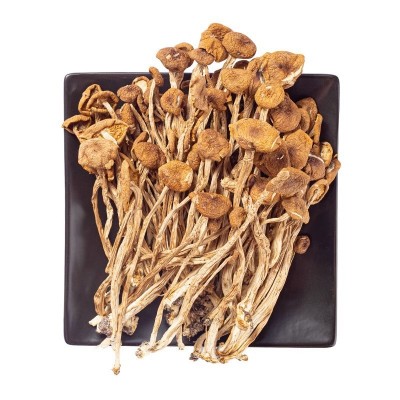专拍茶树菇干货福建古田特产菇农产品特级煲汤炖香菇菌菇厂家直批图4
