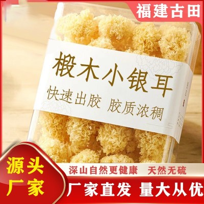 特级椴木小银耳新货糯耳羹易出胶易煮雪耳古田干货白木耳无硫丑耳图4