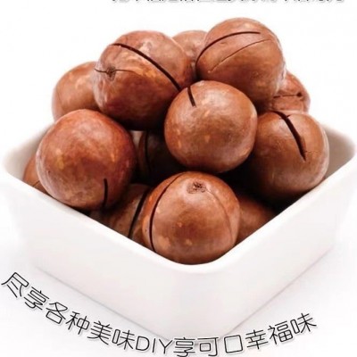 网红同款高端坚果休闲零食夏威夷果250g袋装批发代发图4