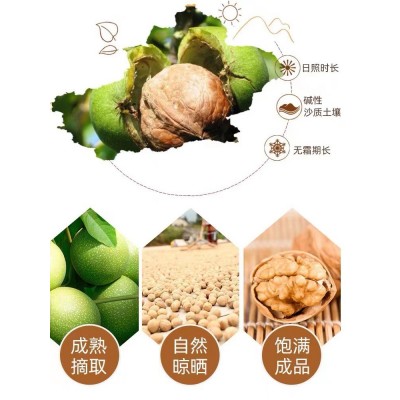 手剥烤核桃草本奶香多种口味休闲坚果零食支持批发代发图4