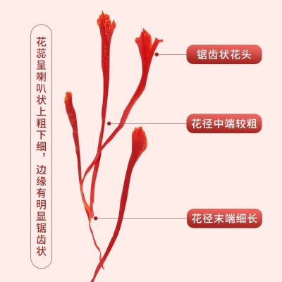 藏红花特级伊朗藏红花5克中药材散装礼盒装长丝扁丝西红花批发图4
