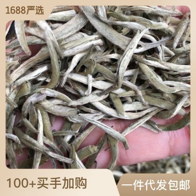 白毫银针 白茶散装单芽月光白散茶陈年银针福鼎银针白茶茶 叶批发图2