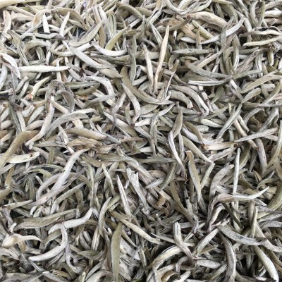 白毫银针 白茶散装单芽月光白散茶陈年银针福鼎银针白茶茶 叶批发图4