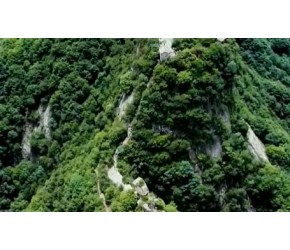 国庆特辑：四川打卡美景！感受丰富多彩的自然景观和独特的文化氛围