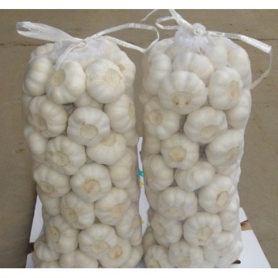 山东大蒜批发 普白大蒜四六瓣4.5-6.cm白皮红皮干大蒜头 库存充足图2