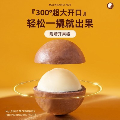 现货夏威夷果500g罐装 开口易剥坚果罐装批发 居家看剧休 闲小零食图2