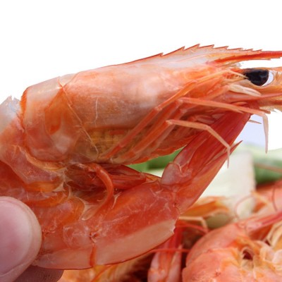 虾干 即食烤虾对虾干 海鲜水产干货 散装虾干批发 产地供应