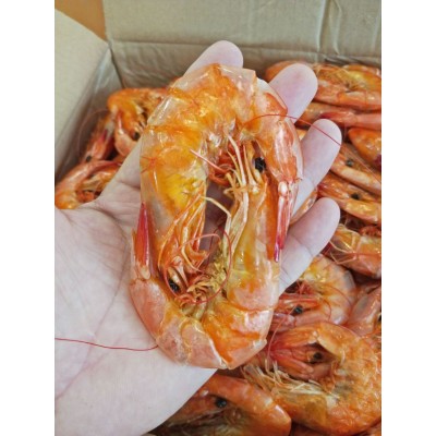 虾干 即食烤虾对虾干 海鲜水产干货 散装虾干批发 产地供应图4