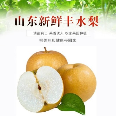 山东丰水梨 脆于秋月梨莱阳新鲜水果产地酥脆梨代发梨子 新年礼品图3