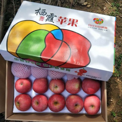 23秋新果秋红富士苹果水果礼盒装脆甜正宗山东烟台栖霞新鲜当季整