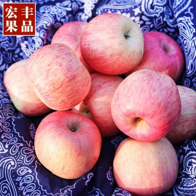 23秋新果秋红富士苹果水果礼盒装脆甜正宗山东烟台栖霞新鲜当季整图3