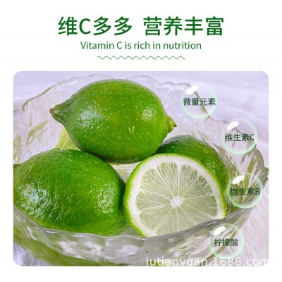 广东香水柠檬新鲜现摘无籽奶茶店专用一级青柠檬当季批发包邮整箱图4