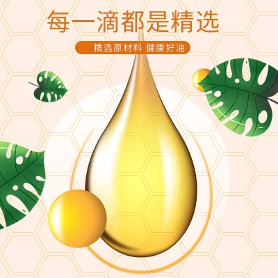 厂家现货1.5L一级花生植物油高油酸白衣花生油低温冷榨一级花生油图2