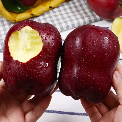 甘肃天水花牛苹果糖心红蛇粉面苹果当季新鲜水果图2