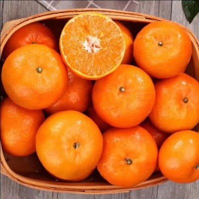 薄皮沃柑正宗新鲜当季水果橘柑桔子纯甜批发