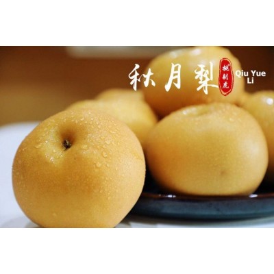 顺丰正宗莱阳秋月梨冰糖新鲜4/5斤梨子山东大果当季甜礼盒装家庭图2