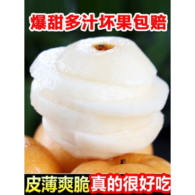 顺丰正宗莱阳秋月梨冰糖新鲜4/5斤梨子山东大果当季甜礼盒装家庭图5
