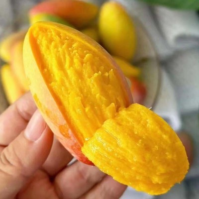 正宗广西贵妃芒果新鲜水果当季现摘水果特产热带大芒果整箱批发图4