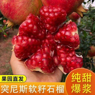 突尼斯软籽石榴四川会理当季新鲜水果石榴纯甜红籽水晶甜石榴批发图2
