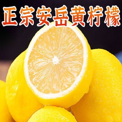 四川安岳柠檬 现摘现发新鲜当季黄柠檬皮薄多汁多规格产地批发