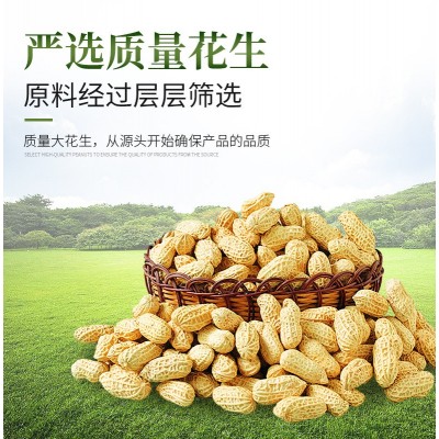 一件代发小榨花生油5L一级压榨健康家用炒菜食用油 5L金桥花生油图3