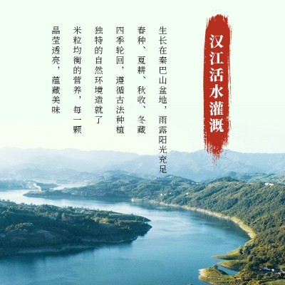 陕西汉中贡米大米10kg包装新米源头厂家颗粒饱满25kg装直销图3