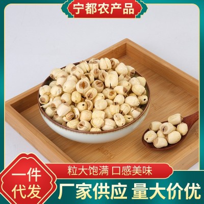 莲子磨皮白莲易煮口感软糯散装厂家供应一件代发图2