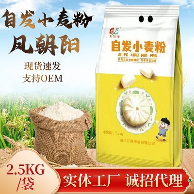 农家自发小麦粉 家用糕点制作面粉2.5kg蒸煮包子馒头小麦粉批发图4